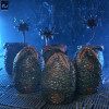 Neca Aliens - Caja de huevos alienígenas (40 aniversario) - Pack de 6 accesorios