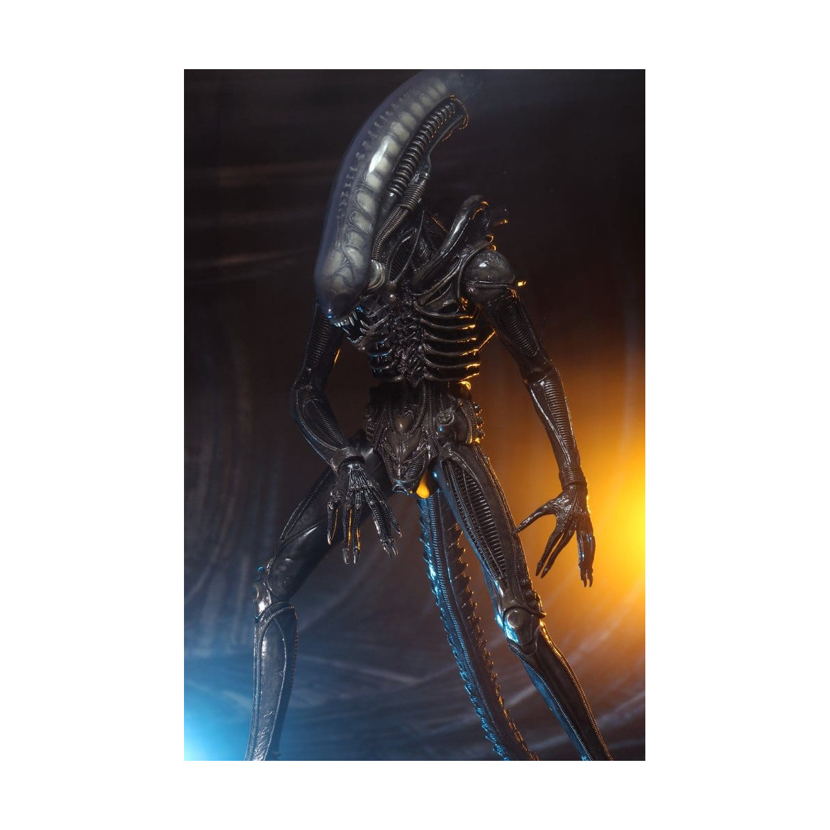 Neca Alien 1979 - Big Chap 1/4 - Caja Kenner
