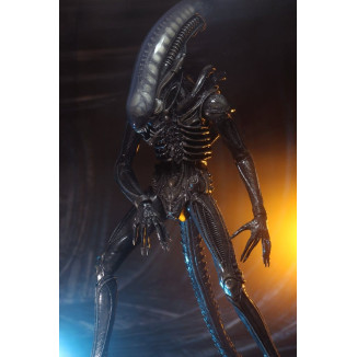 Neca Alien 1979 - Big Chap 1/4 - Caja Kenner