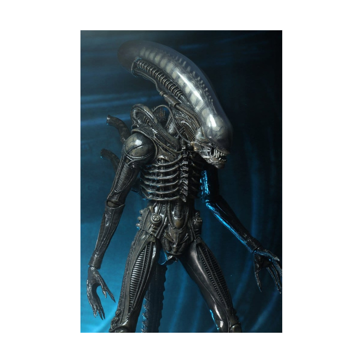 Neca Alien 1979 - Big Chap 1/4 - Caja Kenner