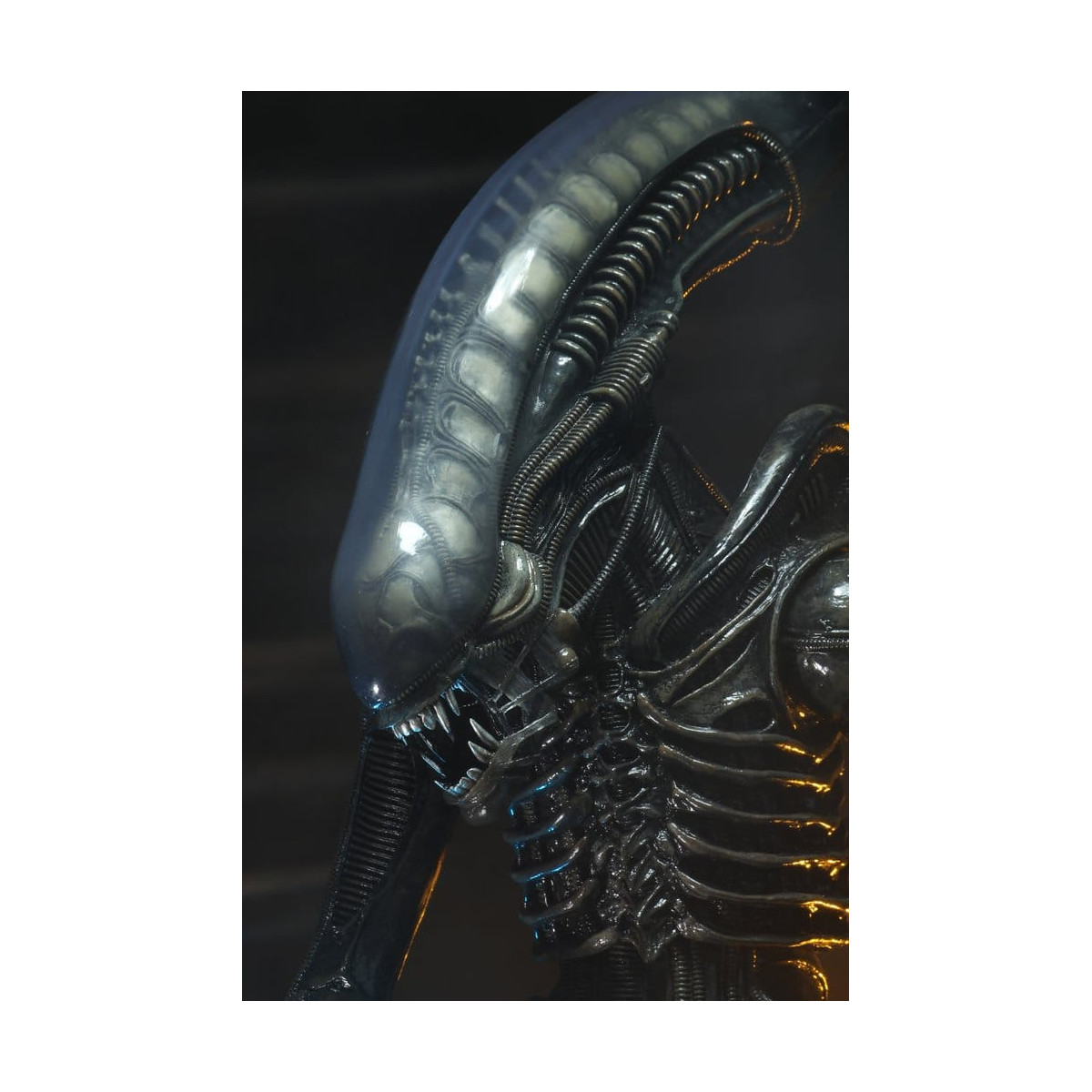 Neca Alien 1979 - Big Chap 1/4 - Caja Kenner