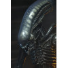Neca Alien 1979 - Big Chap 1/4 - Caja Kenner