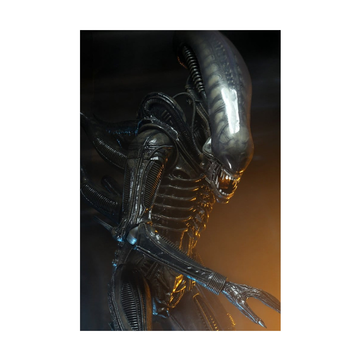 Neca Alien 1979 - Big Chap 1/4 - Caja Kenner