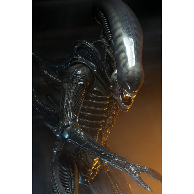 Neca Alien 1979 - Big Chap 1/4 - Caja Kenner