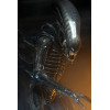Neca Alien 1979 - Big Chap 1/4 - Caja Kenner