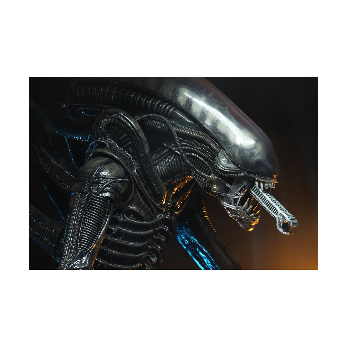 Neca Alien 1979 - Big Chap 1/4 - Caja Kenner