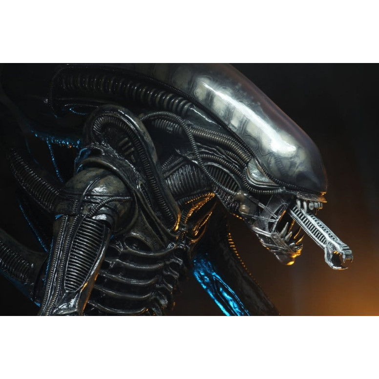 Neca Alien 1979 - Big Chap 1/4 - Caja Kenner