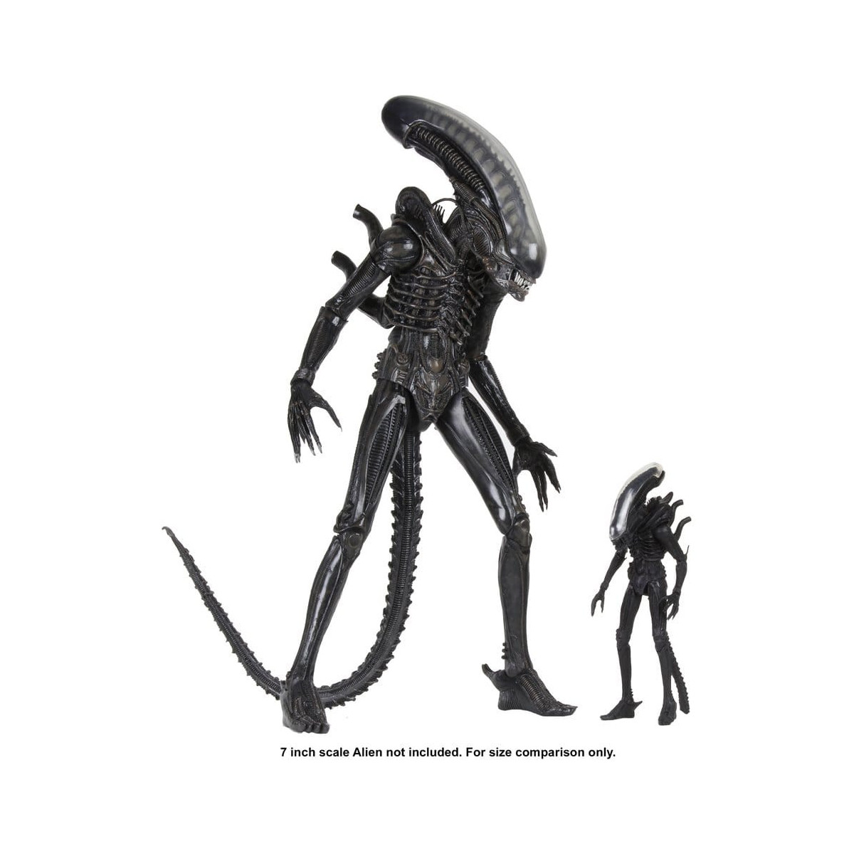 Neca Alien 1979 - Big Chap 1/4 - Caja Kenner