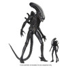Neca Alien 1979 - Big Chap 1/4 - Caja Kenner