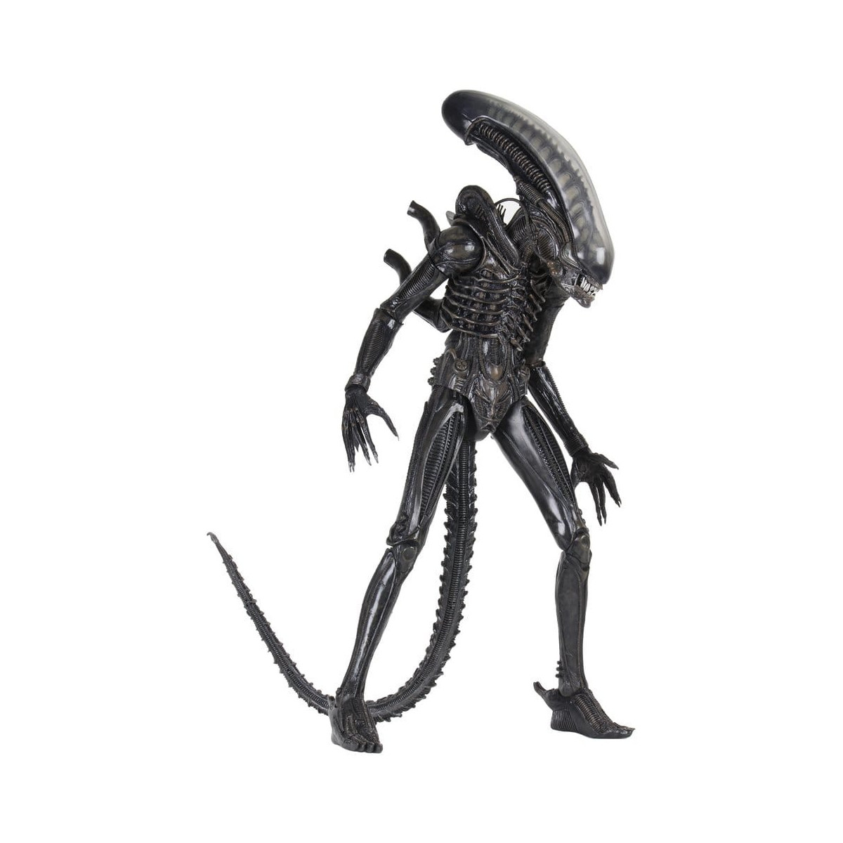 Neca Alien 1979 - Big Chap 1/4 - Caja Kenner
