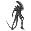 Neca Alien 1979 - Big Chap 1/4 - Caja Kenner