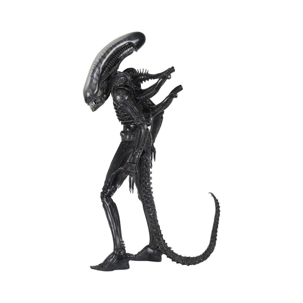 Neca Alien 1979 - Big Chap 1/4 - Caja Kenner