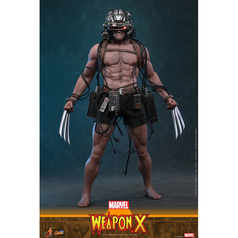 Hot Toys Marvel - Arma X - Comics Masterpiece 1/6