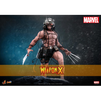 Hot Toys Marvel - Arma X - Comics Masterpiece 1/6