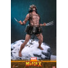 Hot Toys Marvel - Arma X - Comics Masterpiece 1/6