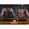 Hot Toys Marvel - Arma X - Comics Masterpiece 1/6