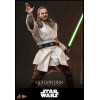 Hot Toys Star Wars La Amenaza Fantasma - Qui-Gon Jinn 1/6 MMS880