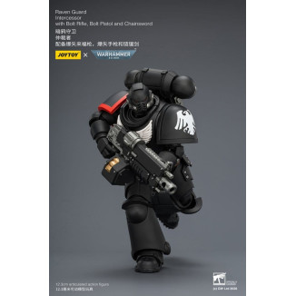 JoyToy Space Marines - Guardia Cuervo - Intercesores 1/18 - Warhammer 40K