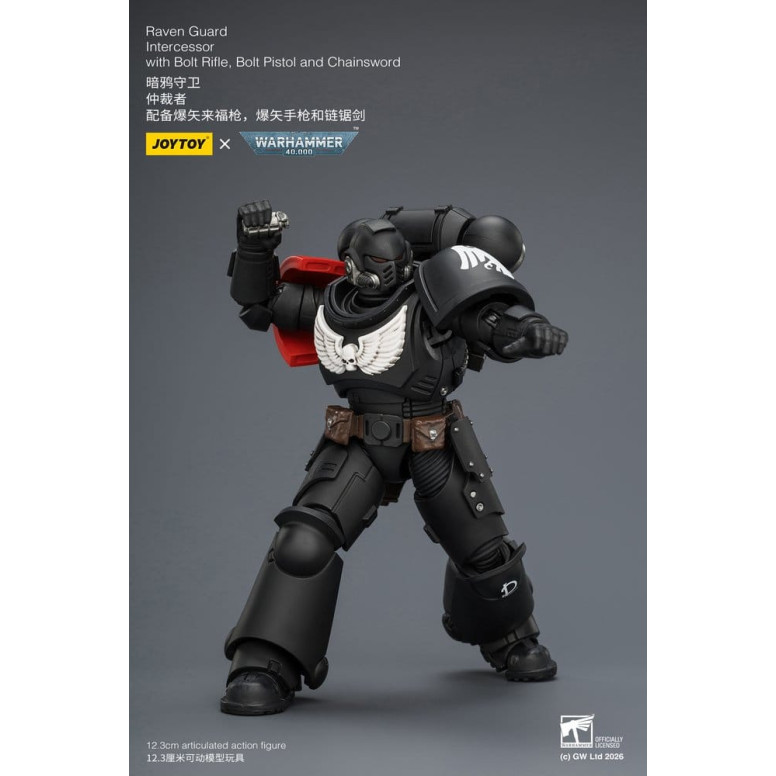 JoyToy Space Marines - Guardia Cuervo - Intercesores 1/18 - Warhammer 40K