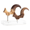 Toynami ECC Elite Creature Collectibles - Velociraptor Pie Garra y Fósil Garra Set - Jurassic Park
