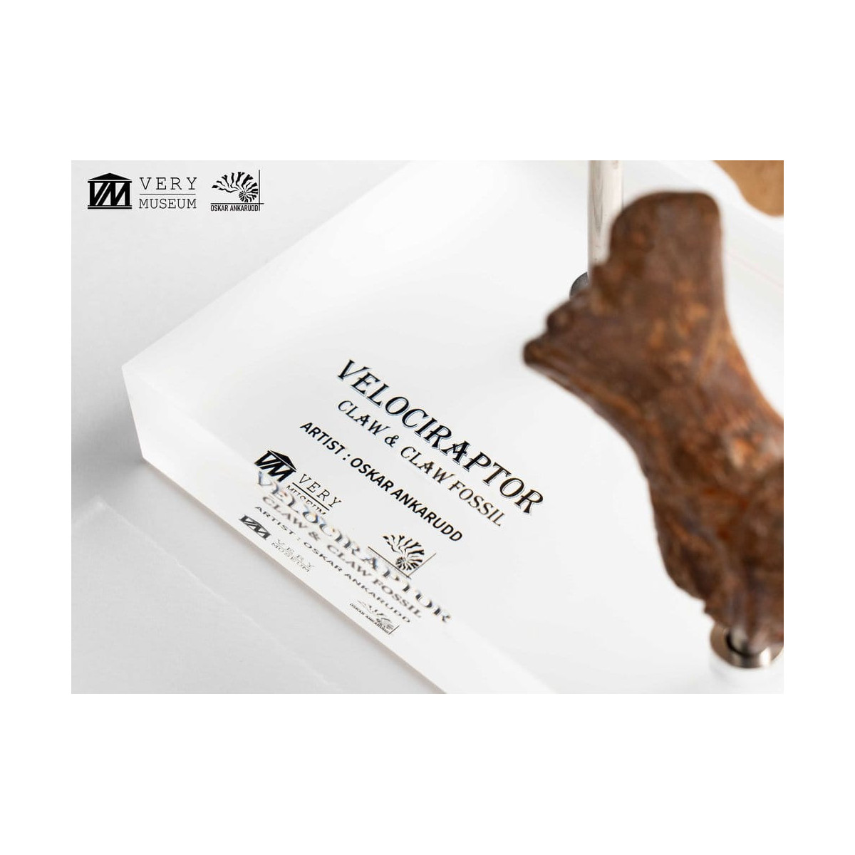 Toynami ECC Elite Creature Collectibles - Velociraptor Pie Garra y Fósil Garra Set - Jurassic Park