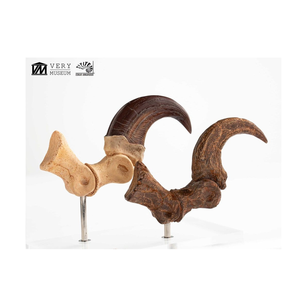 Toynami ECC Elite Creature Collectibles - Velociraptor Pie Garra y Fósil Garra Set - Jurassic Park