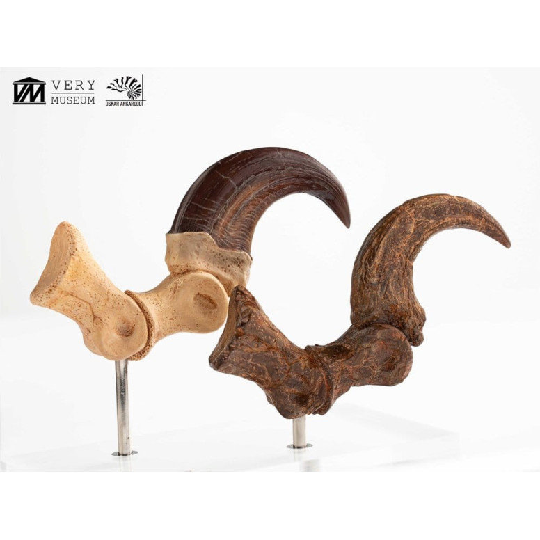 Toynami ECC Elite Creature Collectibles - Velociraptor Pie Garra y Fósil Garra Set - Jurassic Park