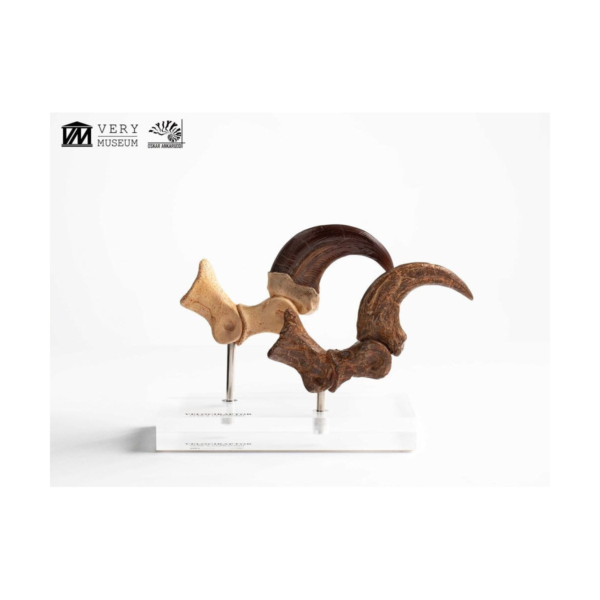 Toynami ECC Elite Creature Collectibles - Velociraptor Pie Garra y Fósil Garra Set - Jurassic Park