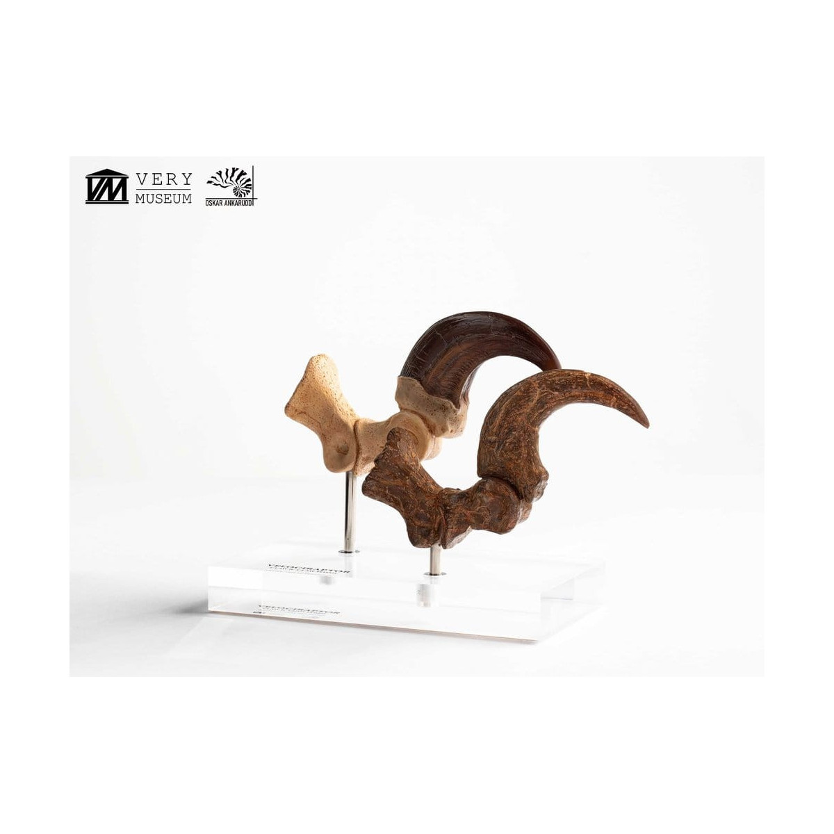 Toynami ECC Elite Creature Collectibles - Velociraptor Pie Garra y Fósil Garra Set - Jurassic Park