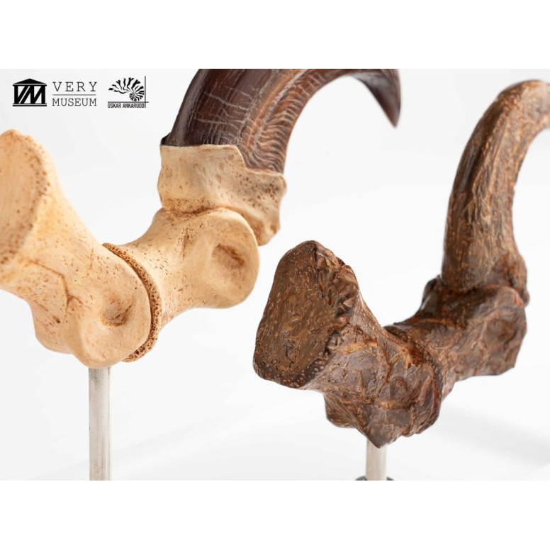 Toynami ECC Elite Creature Collectibles - Velociraptor Pie Garra y Fósil Garra Set - Jurassic Park