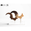 Toynami ECC Elite Creature Collectibles - Velociraptor Pie Garra y Fósil Garra Set - Jurassic Park