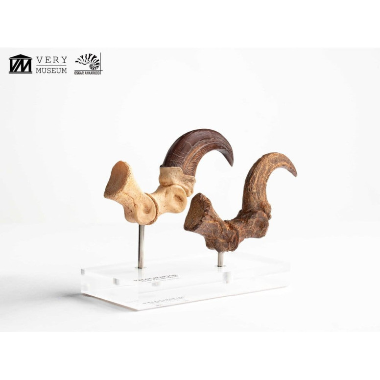Toynami ECC Elite Creature Collectibles - Velociraptor Pie Garra y Fósil Garra Set - Jurassic Park