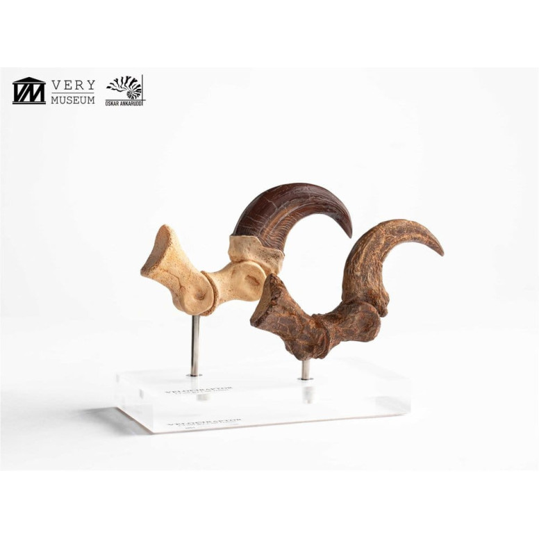 Toynami ECC Elite Creature Collectibles - Velociraptor Pie Garra y Fósil Garra Set - Jurassic Park