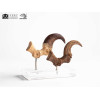 Toynami ECC Elite Creature Collectibles - Velociraptor Pie Garra y Fósil Garra Set - Jurassic Park