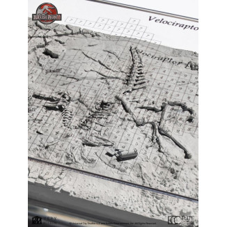 ECC Elite Creature Collectibles - Jurassic Park 3 Velociraptor Dig Map