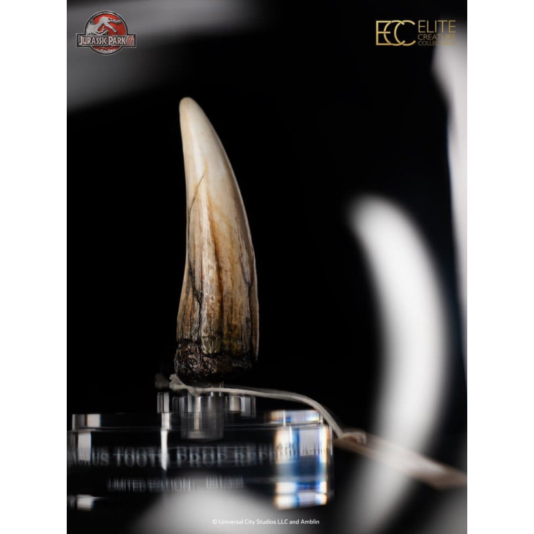 ECC Elite Creature Collectibles - Jurassic Park 3 Réplica 1/1 Diente de espinosaurio