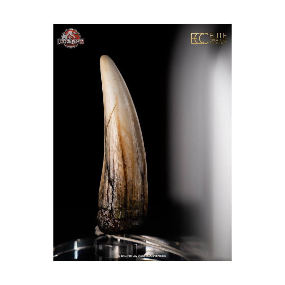 ECC Elite Creature Collectibles - Jurassic Park 3 Réplica 1/1 Diente de espinosaurio