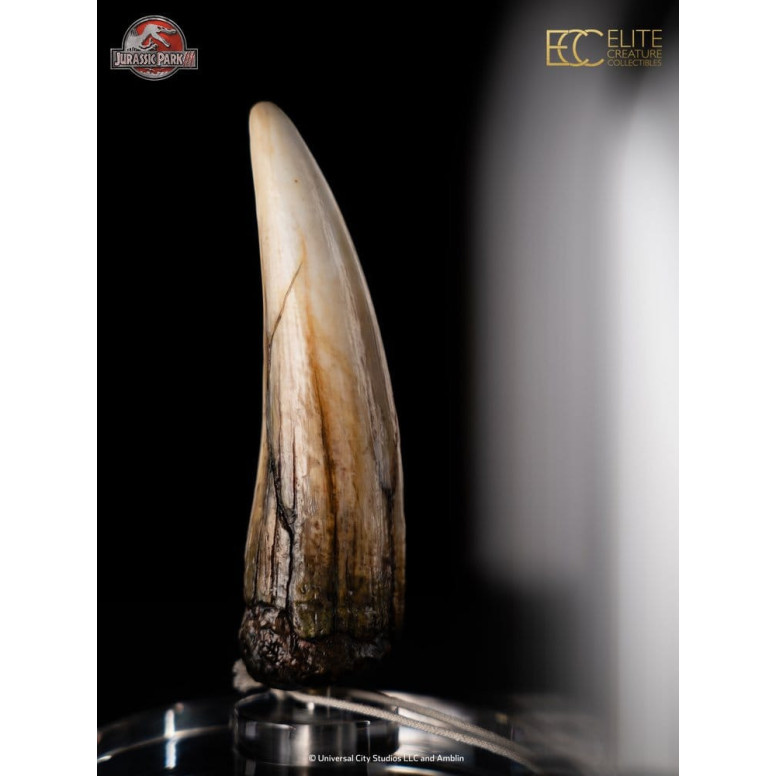ECC Elite Creature Collectibles - Jurassic Park 3 Réplica 1/1 Diente de espinosaurio