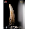 ECC Elite Creature Collectibles - Jurassic Park 3 Réplica 1/1 Diente de espinosaurio