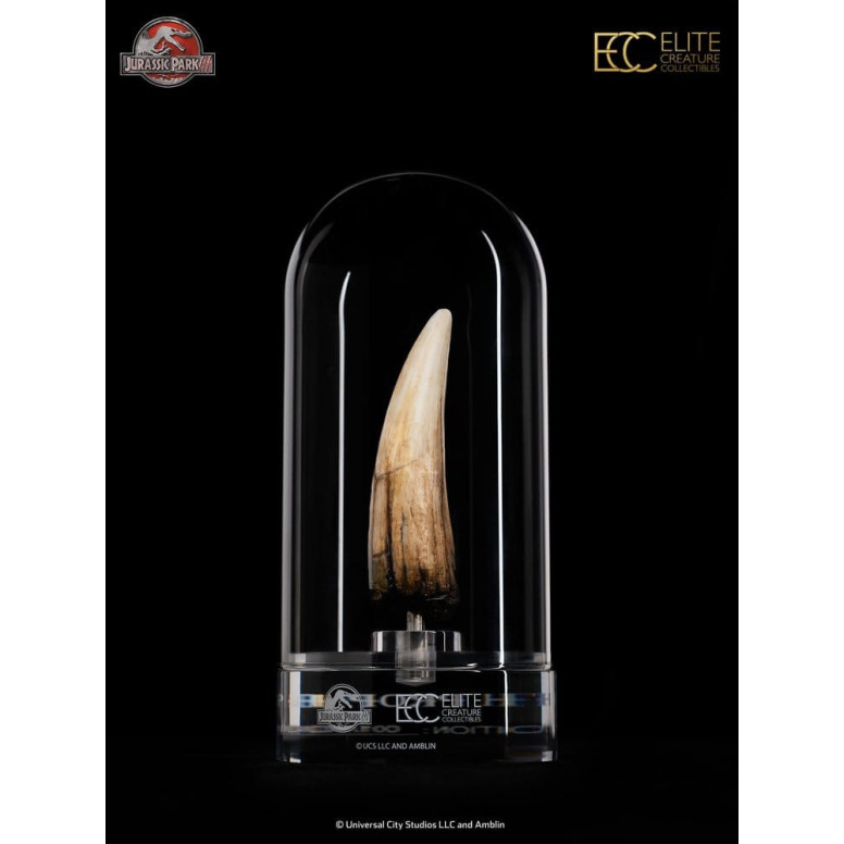 ECC Elite Creature Collectibles - Jurassic Park 3 Réplica 1/1 Diente de espinosaurio