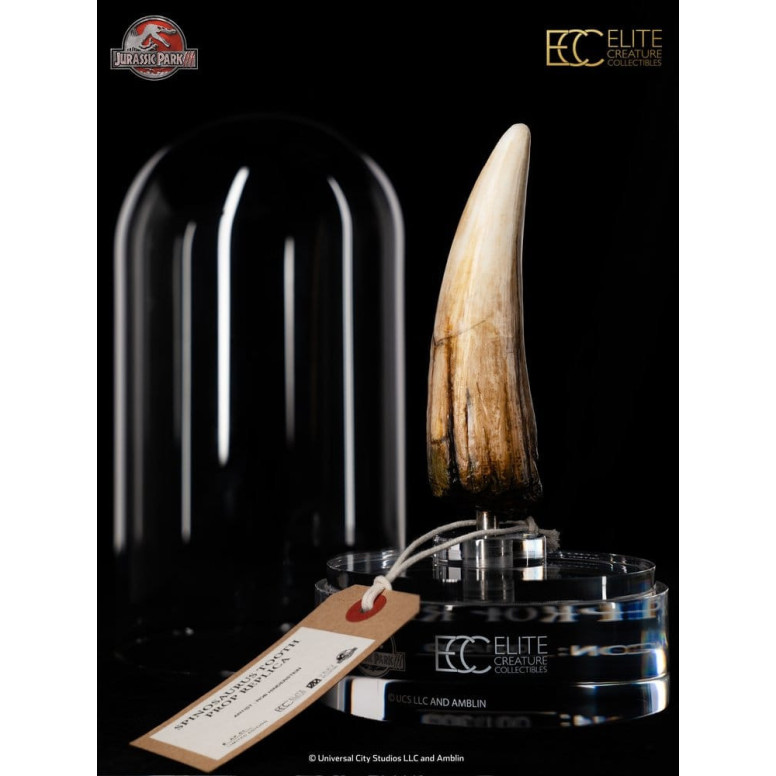 ECC Elite Creature Collectibles - Jurassic Park 3 Réplica 1/1 Diente de espinosaurio