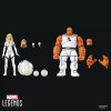Marvel Legends Serie - Los 4 Fantásticos Fundación Futuro - La Cosa y La Mujer Invisible