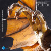 HIYA TOYS - Serie Exquisite Basic 1/12 - King Ghidorah 2.0 - « Godzilla: King of the Monsters» (2019)