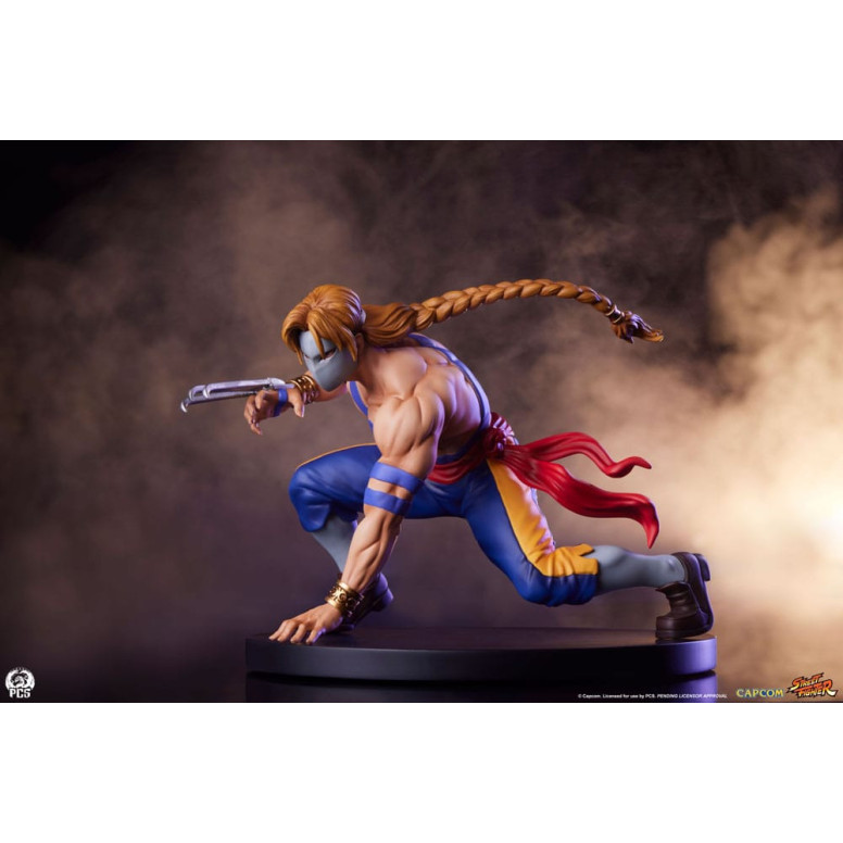 PCS - Street Fighter: Street Jam - Conjunto de estatuas a escala 1:10 de Ken y Vega