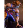 PCS - Street Fighter: Street Jam - Conjunto de estatuas a escala 1:10 de Ken y Vega