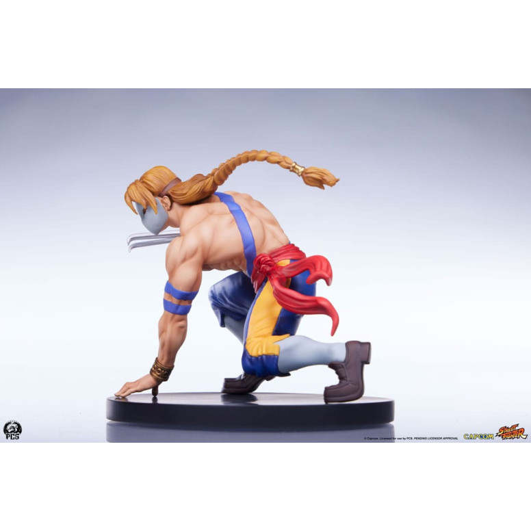 PCS - Street Fighter: Street Jam - Conjunto de estatuas a escala 1:10 de Ken y Vega
