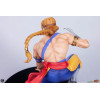 PCS - Street Fighter: Street Jam - Conjunto de estatuas a escala 1:10 de Ken y Vega