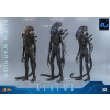 Hot Toys - Aliens  -  Alien Warrior v2 MMS, escala 1/6