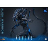 Hot Toys - Aliens  -  Alien Warrior v2 MMS, escala 1/6