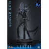 Hot Toys - Aliens  -  Alien Warrior v2 MMS, escala 1/6